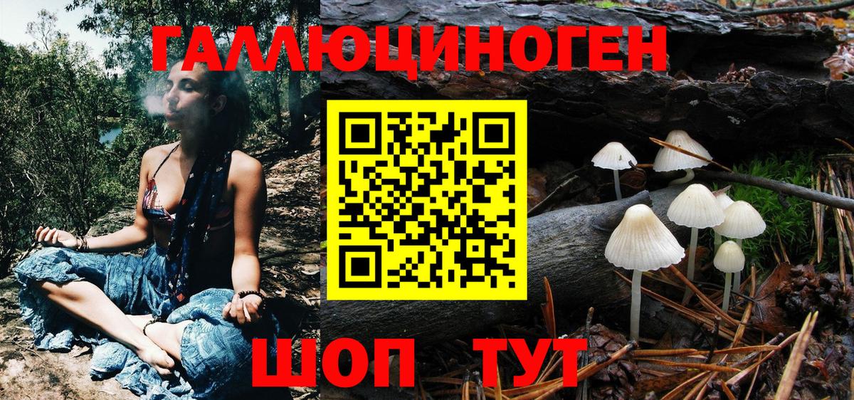Псилоцибиновые грибы Psilocybine cubensis Торжок