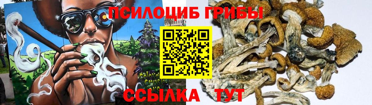 где купить наркотик  Псилоцибиновые грибы Psilocybe  Галлюциногенные грибы MAGIC MUSHROOMS  Вход с VPN  Торжок 